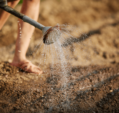 Landscaping Soil